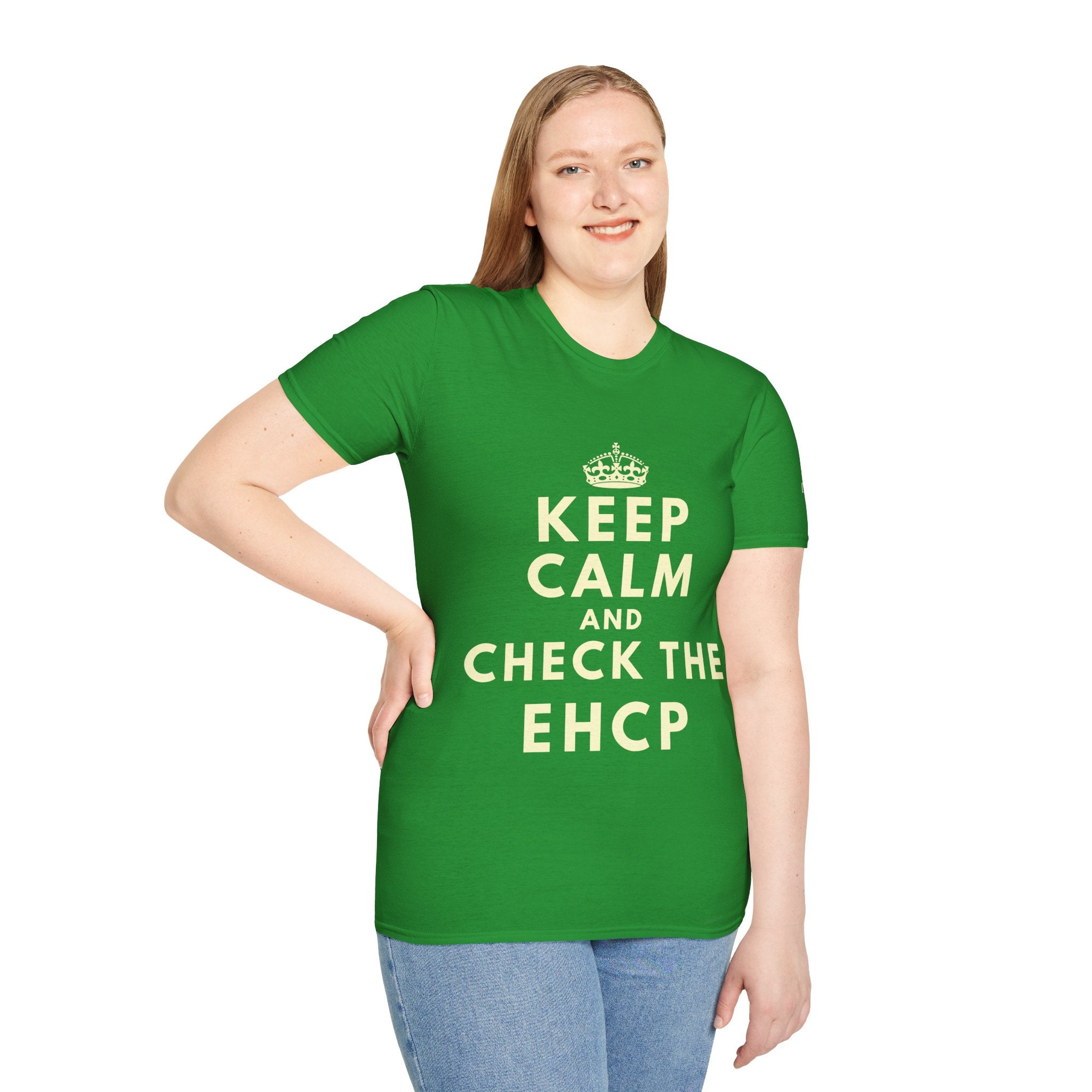Keep Calm and Check the EHCP - Unisex Softstyle T-Shirt. perfect for SEND Departments, Teachers, TA's, SENDCO's